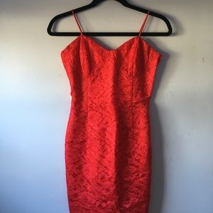 Sexy Fitted Lace Dress
